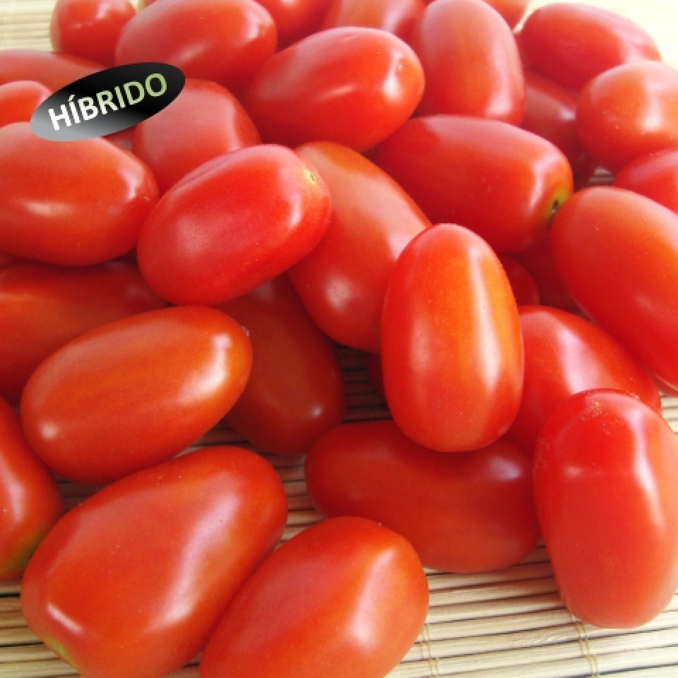 Tomate Tsv Caramelle 500 